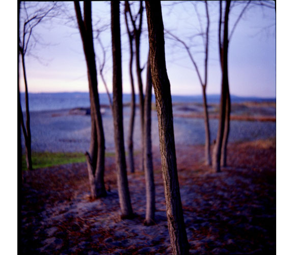 "Golden Gardens" Photograph by Duncan Green